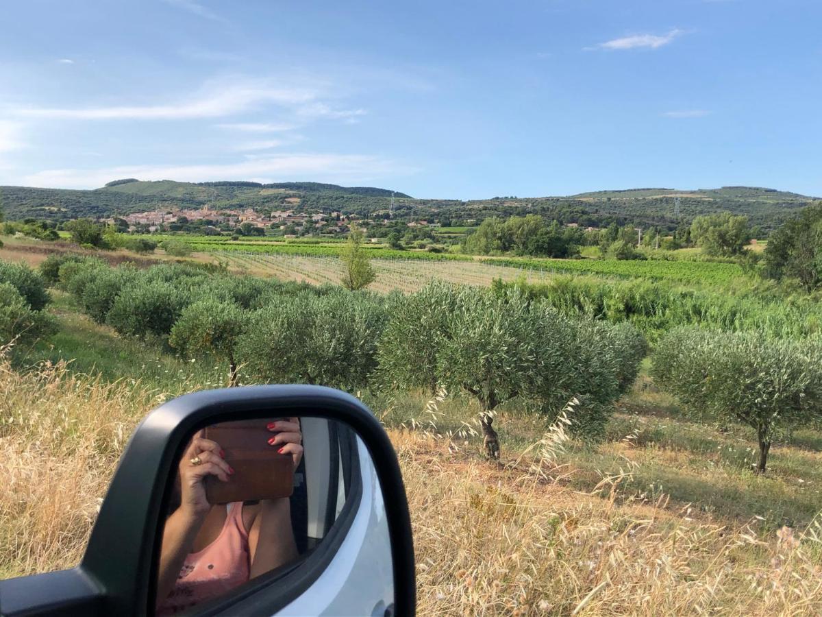Val Des Bruyeres - Gite 15Mn Pezenas Avec Terrasse Et Cour Close - Parking Privatif Securise - Wifi Ftth Gratuit Neffies 외부 사진